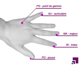 Points EFT de la main